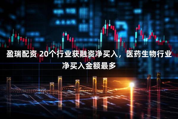 盈瑞配资 20个行业获融资净买入，医药生物行业净买入金额最多
